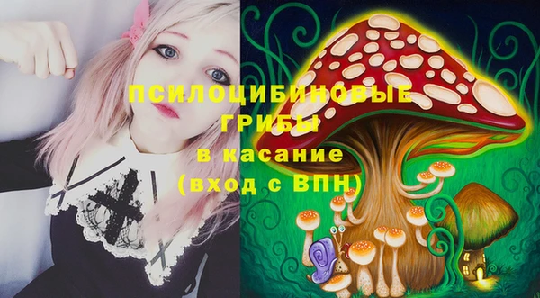 первитин Инта