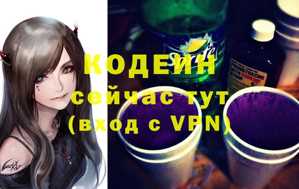 первитин Инта