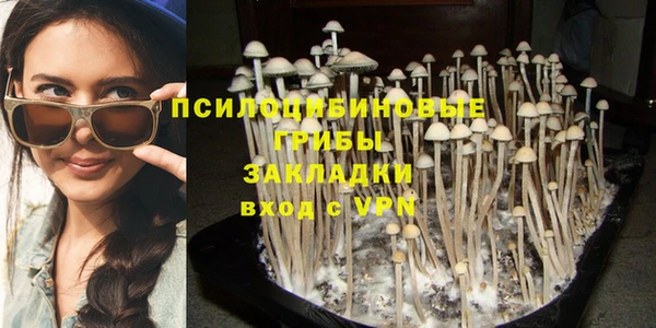 СК Карпинск