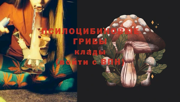 герыч Инсар