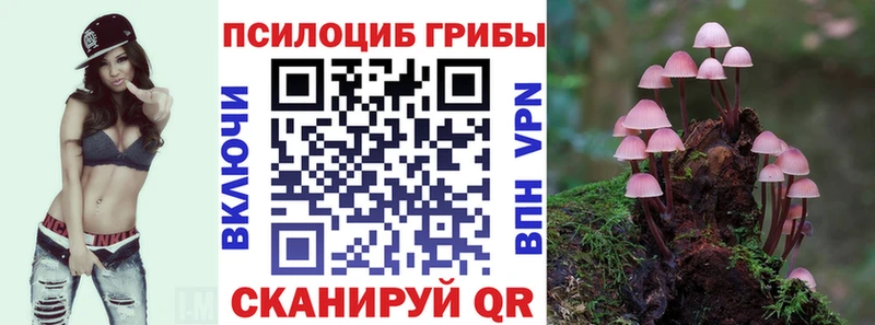 Купить  Володарск  Псилоцибиновые грибы прущие грибы 